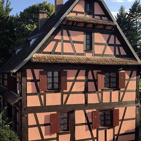 Maison Alsacienne 伊斯术 外观 照片